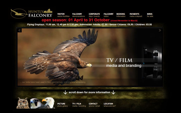 home page design